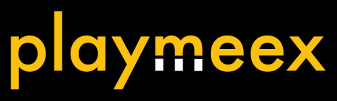 Playmeex logo